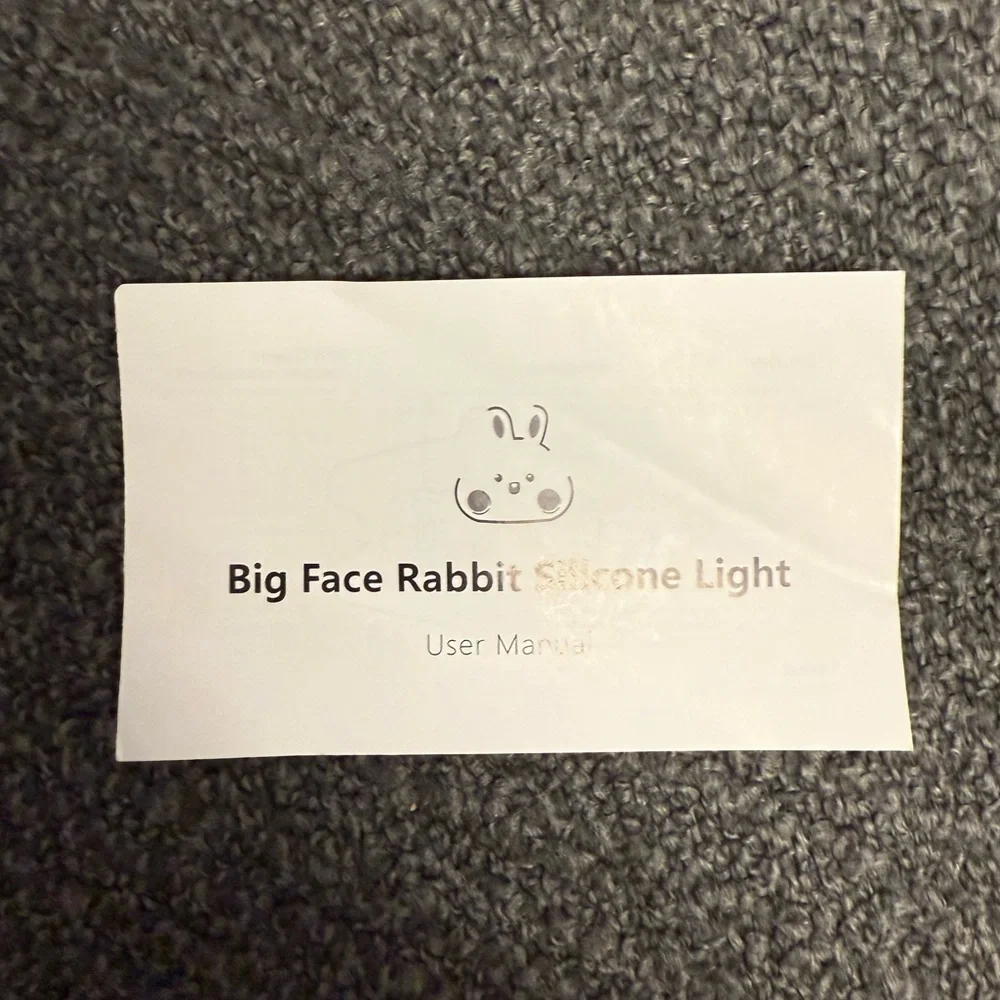 DuckyLay Rabbit Lamp - Picture 10 of 10